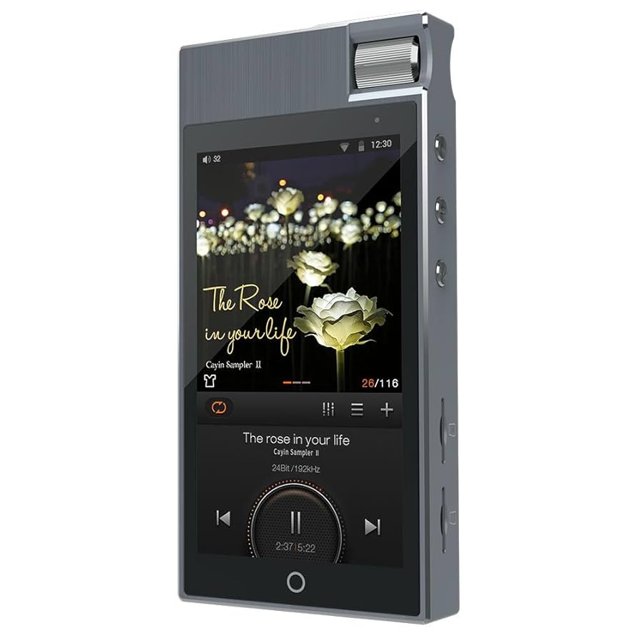 Cayin n5 ii mk2 同軸ケーブルセット　動作確認済 Cayin n5 ii mk2 同軸ケーブルセット 動作確認済